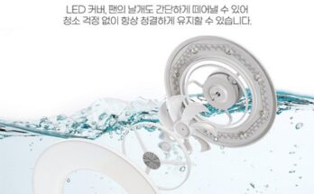 서큐라이트