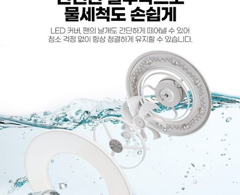 서큐라이트