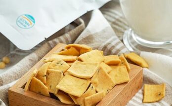 건강한100살대추스낵