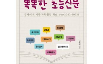 비행기책