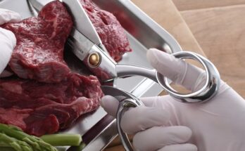 스테인레스가위