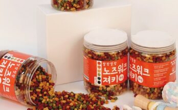 애견간식장난감
