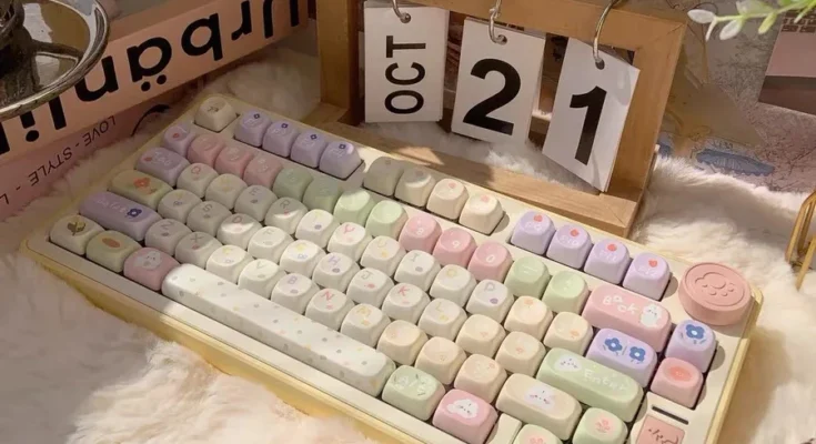 여아용 140 키 MOA 키캡