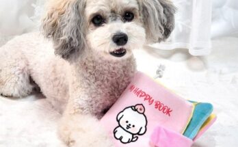 펫반장