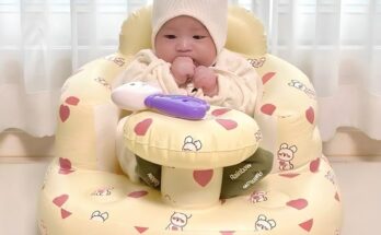 폴리스피드쿠션보행기