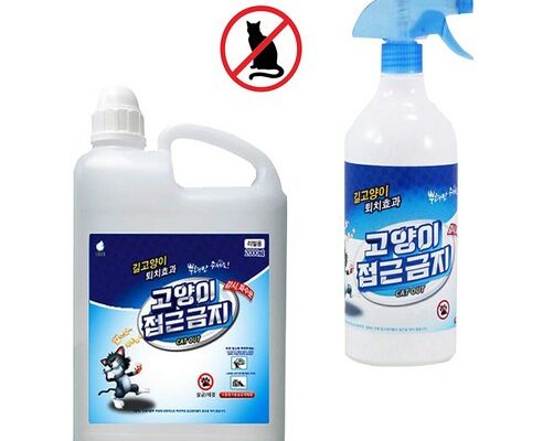 개가싫어하는것