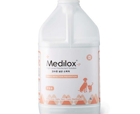 고양이소독
