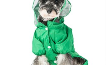 대형견커버업레인코트