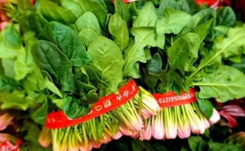 동네시장장보기시금치