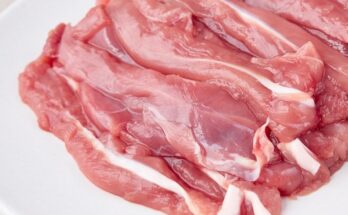 생식오리안심1kg