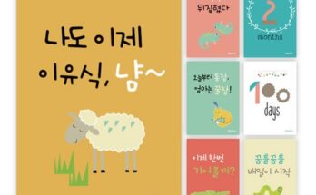 성장카드캘린더