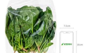 시금치한단시세