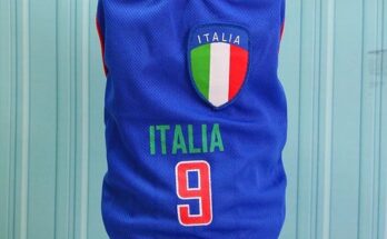 웰시코기매너웨어