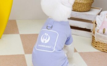 인터라켄올인원