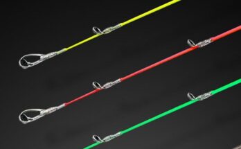 쿄쿠에이타코이카exags