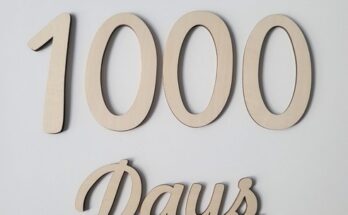 크라잉베베성장카드