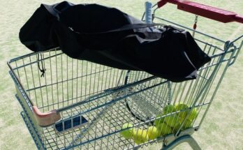 테니스볼볼머신