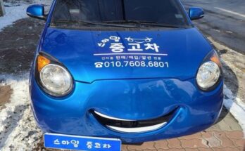 테슬라번호판플레이트