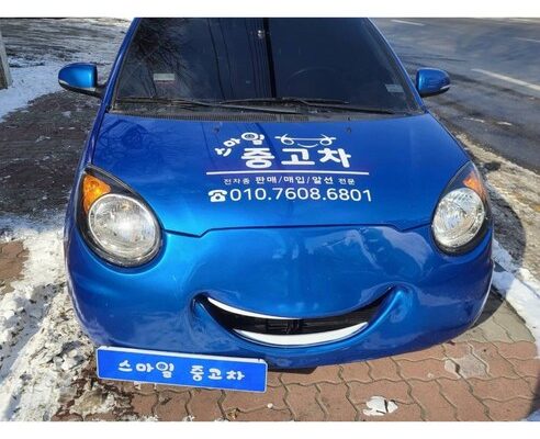 테슬라번호판플레이트