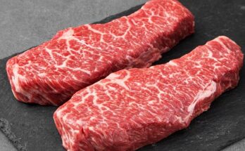 호주산소고기소등심부채살살치살소갈비살치마살우삼겹스테이크캠핑구이용1kg