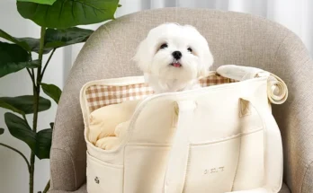 강아지 외출용 휴대용 숄더 핸드백