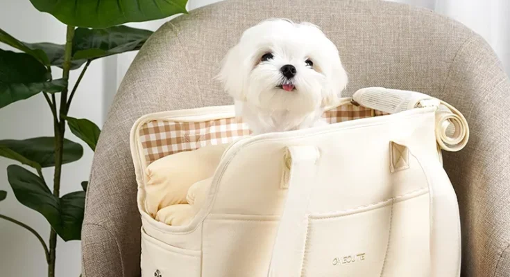 강아지 외출용 휴대용 숄더 핸드백