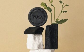 르세라이사봉누아