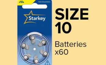 보청기배터리a10