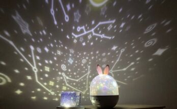 센과치히로의행방불명오르골