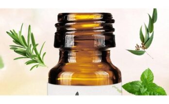 유칼립투스아로마오일