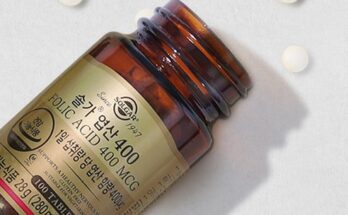 철분제엽산임산부