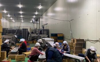 추석선물건어물