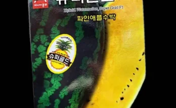 노랑수박