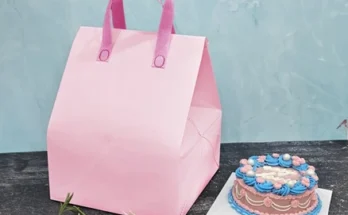 성심당 보냉백