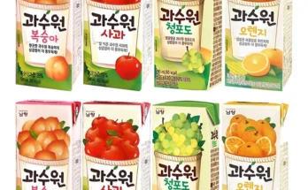 피크닉 청포도