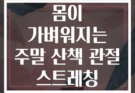 10분 투자로 몸이 가벼워지는 주말 산책 관절 스트레칭 6가지