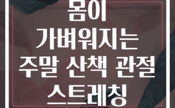 10분 투자로 몸이 가벼워지는 주말 산책 관절 스트레칭 6가지