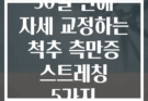 30일 만에 자세 교정하는 척추 측만증 스트레칭 5가지