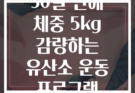 30일 만에 체중 5kg 감량하는 유산소 운동 프로그램