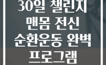 30일 챌린지 맨몸 전신 순환운동 완벽 프로그램