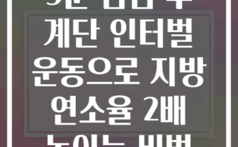 5분 점심 후 계단 인터벌 운동으로 지방 연소율 2배 높이는 비법