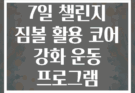 7일 챌린지 짐볼 활용 코어 강화 운동 프로그램