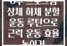8주 프로그램 상체 하체 분할 운동 루틴으로 근력 운동 효율 높이기