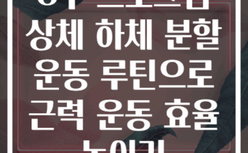 8주 프로그램 상체 하체 분할 운동 루틴으로 근력 운동 효율 높이기