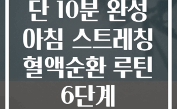 단 10분 완성 아침 스트레칭 혈액순환 루틴 6단계