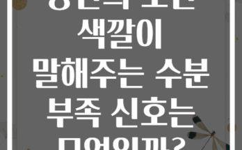 당신의 소변 색깔이 말해주는 수분 부족 신호는 무엇일까?