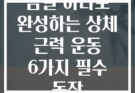 덤벨 하나로 완성하는 상체 근력 운동 6가지 필수 동작