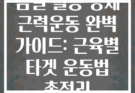 덤벨 활용 상체 근력운동 완벽 가이드: 근육별 타겟 운동법 총정리