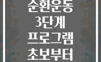 복부비만 타겟 순환운동 3단계 프로그램 초보부터 고급자까지