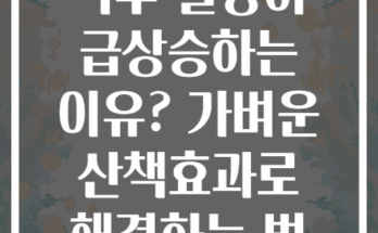 식후 혈당이 급상승하는 이유? 가벼운 산책효과로 해결하는 법